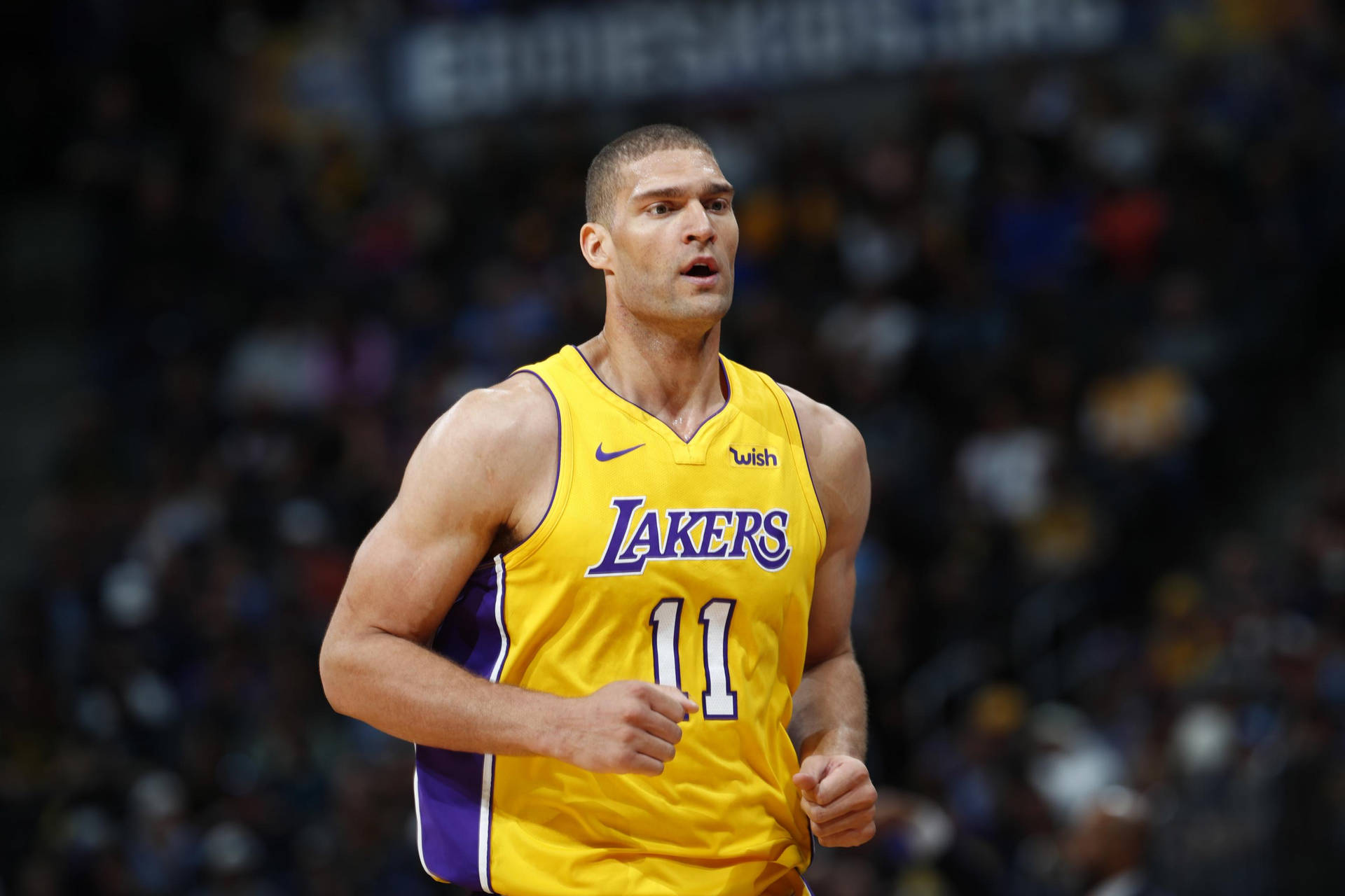 Focus Shot La Lakers Brook Lopez Background