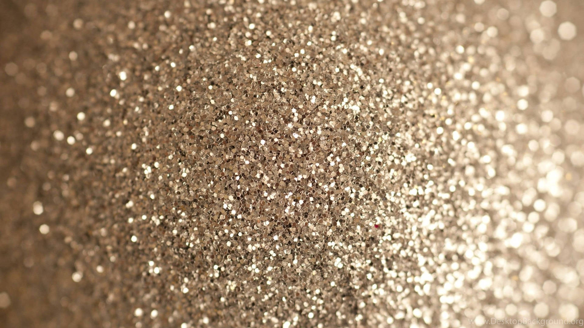 Focused Sparkly Silver Photo Background