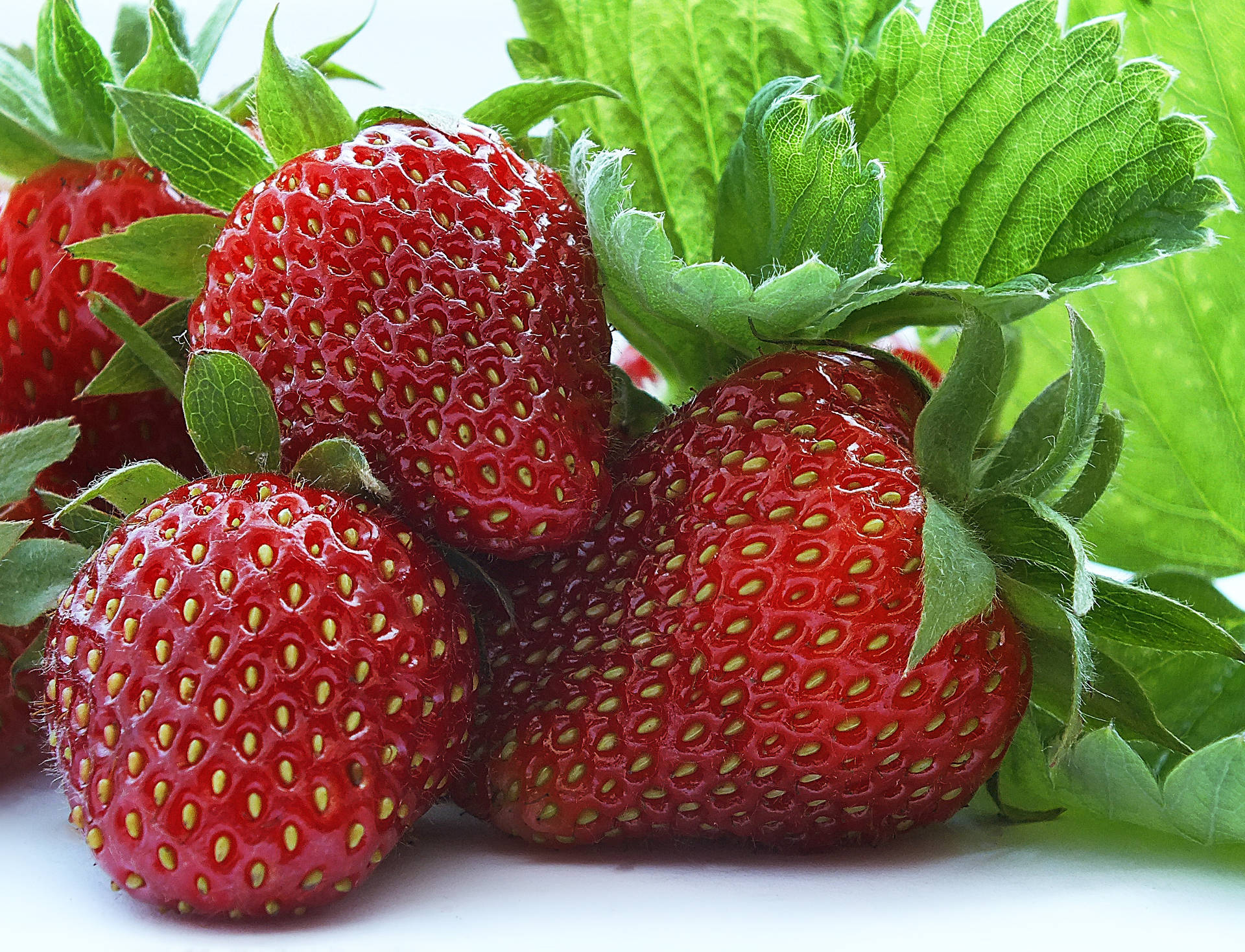 Focused Strawberry Achenes Background