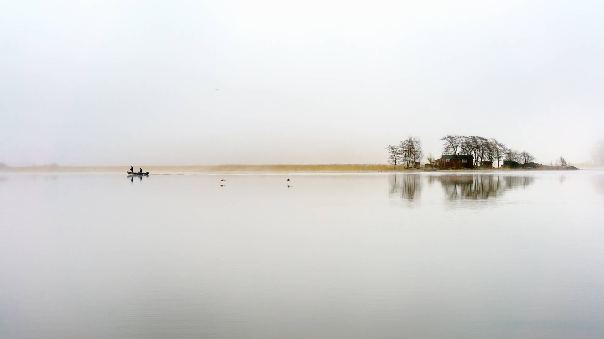 Fog At Lake Summanen Finland Background