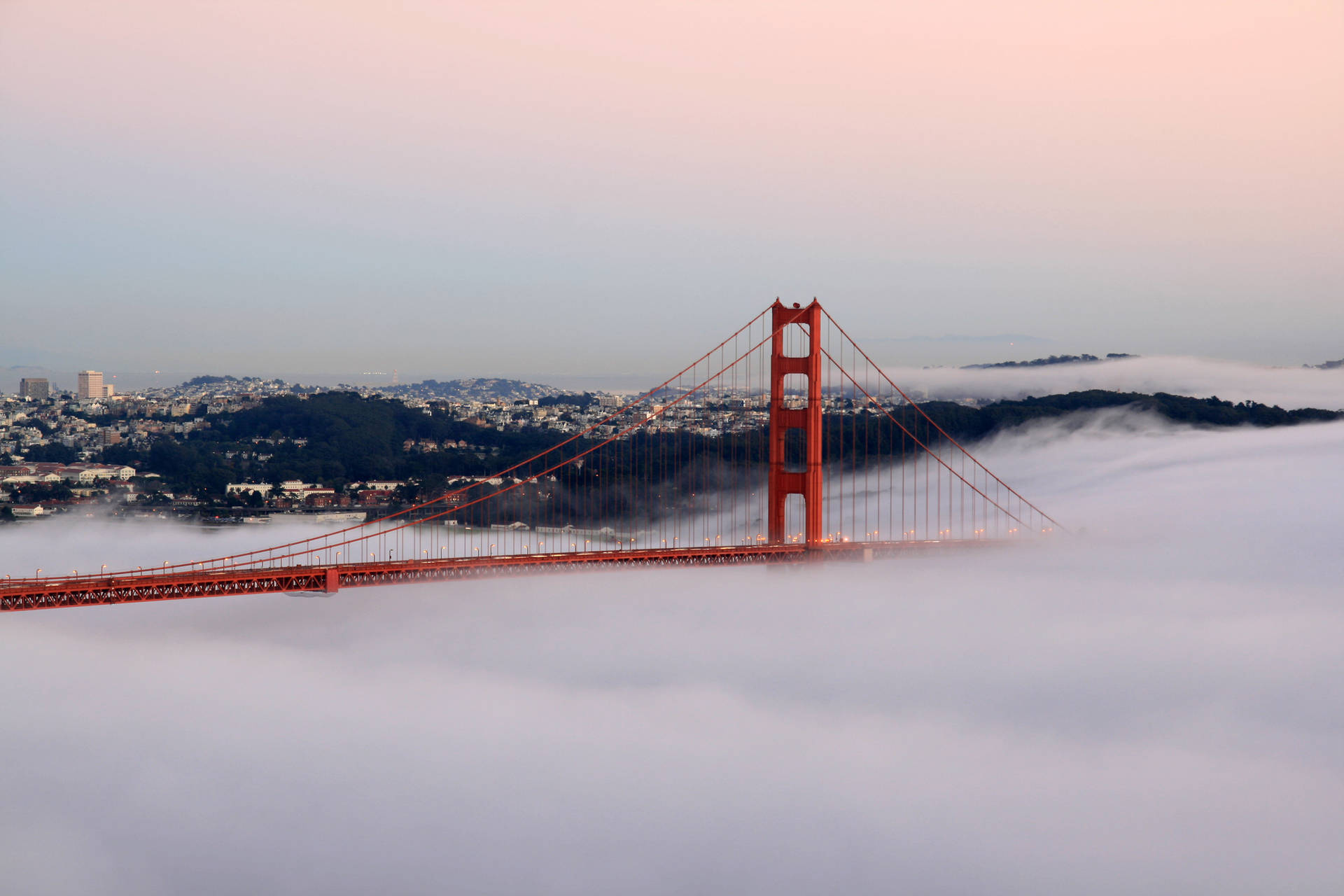 Fog Bridge San Francisco Photography Background