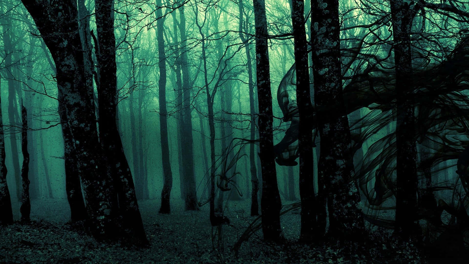 Foggy Aesthetic Green Aesthetic Forest Background