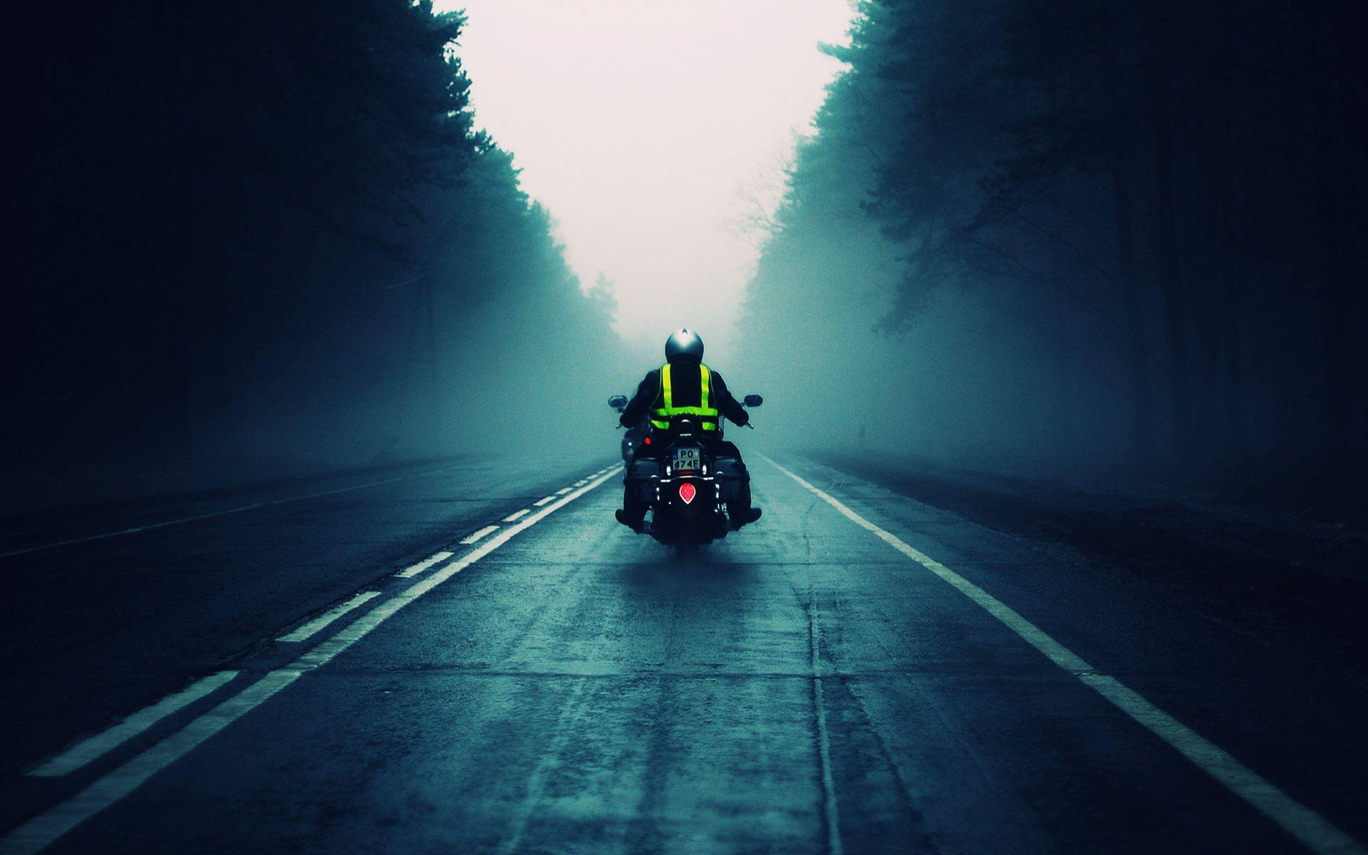 Foggy Bike Ride