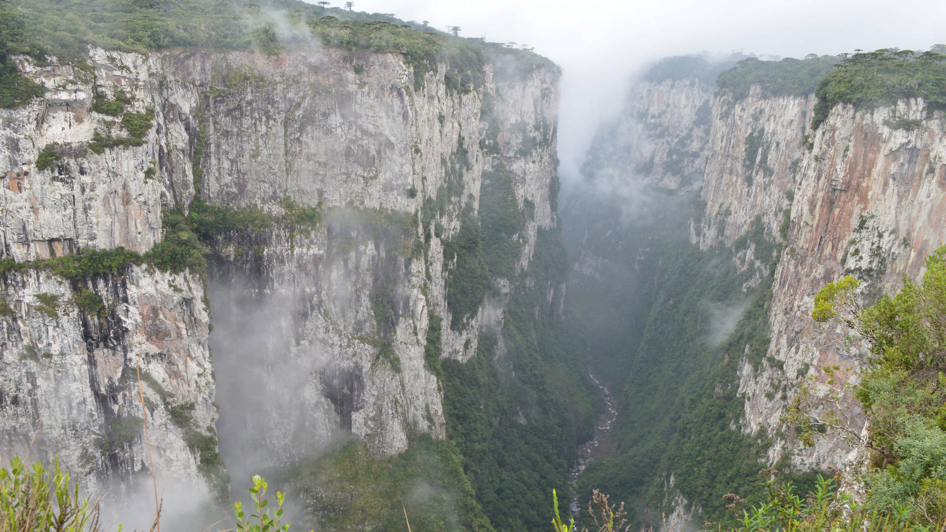 Foggy Canyon In Brazil Background