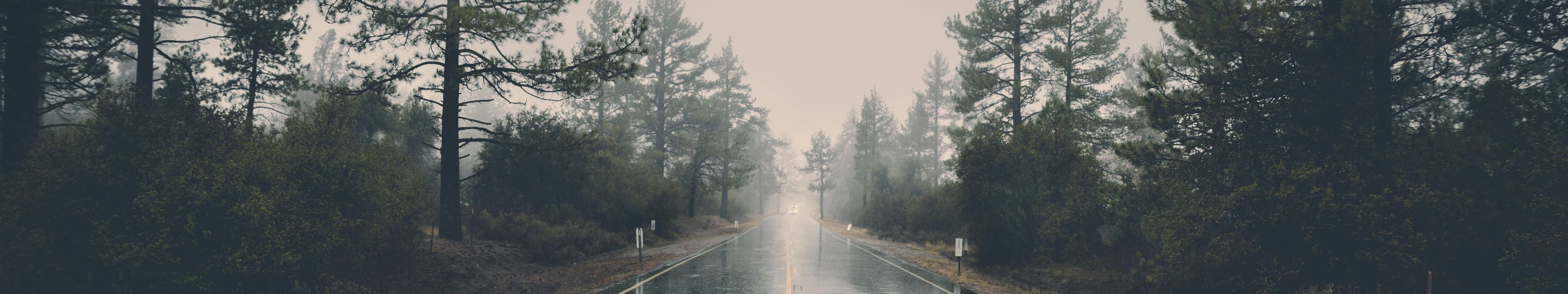 Foggy Country Road Three Screen Background