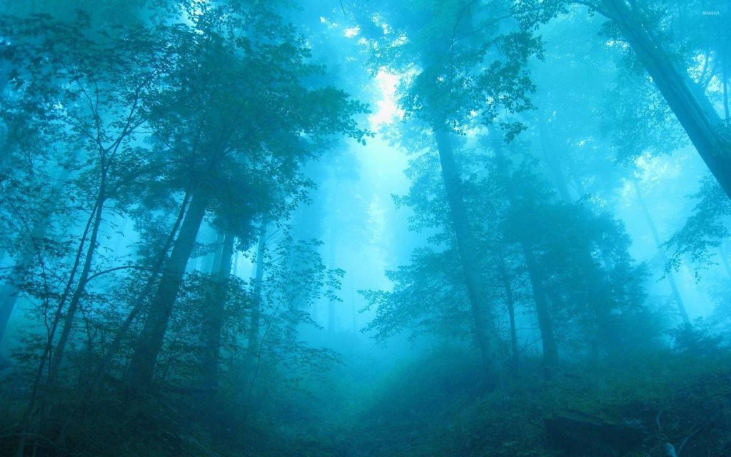 Foggy Forest Blue Dreamlike Background