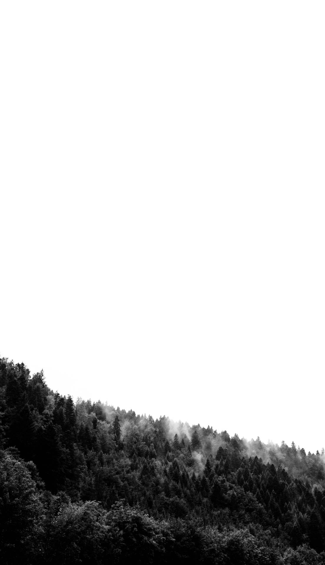 Foggy Forest Greyscale Portrait Background
