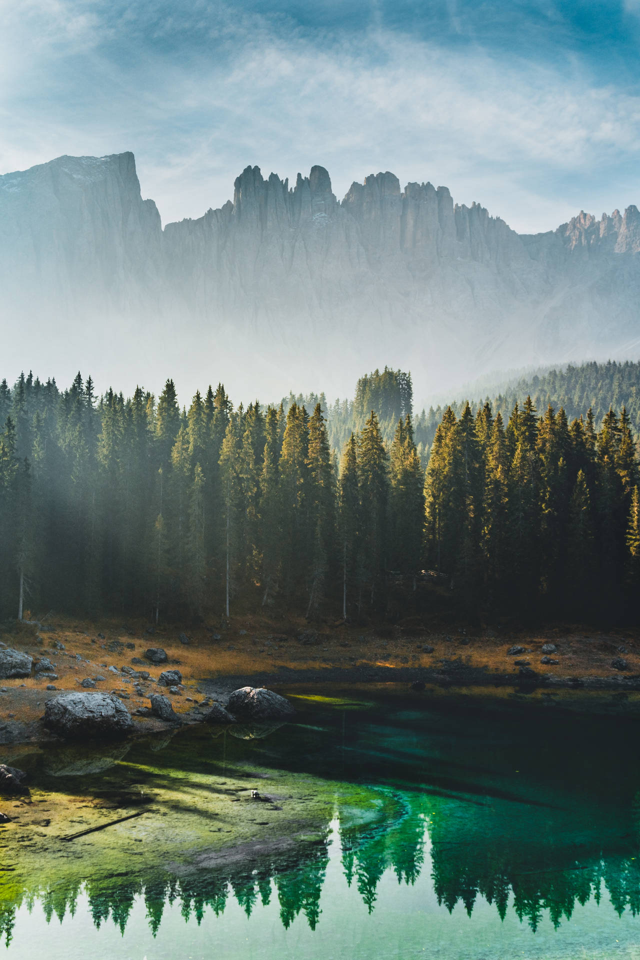 Foggy Forest Landscape Nature Scenery