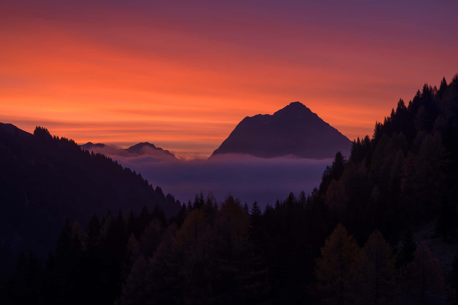 Foggy Forest Mountains Sunset Digital Art Background