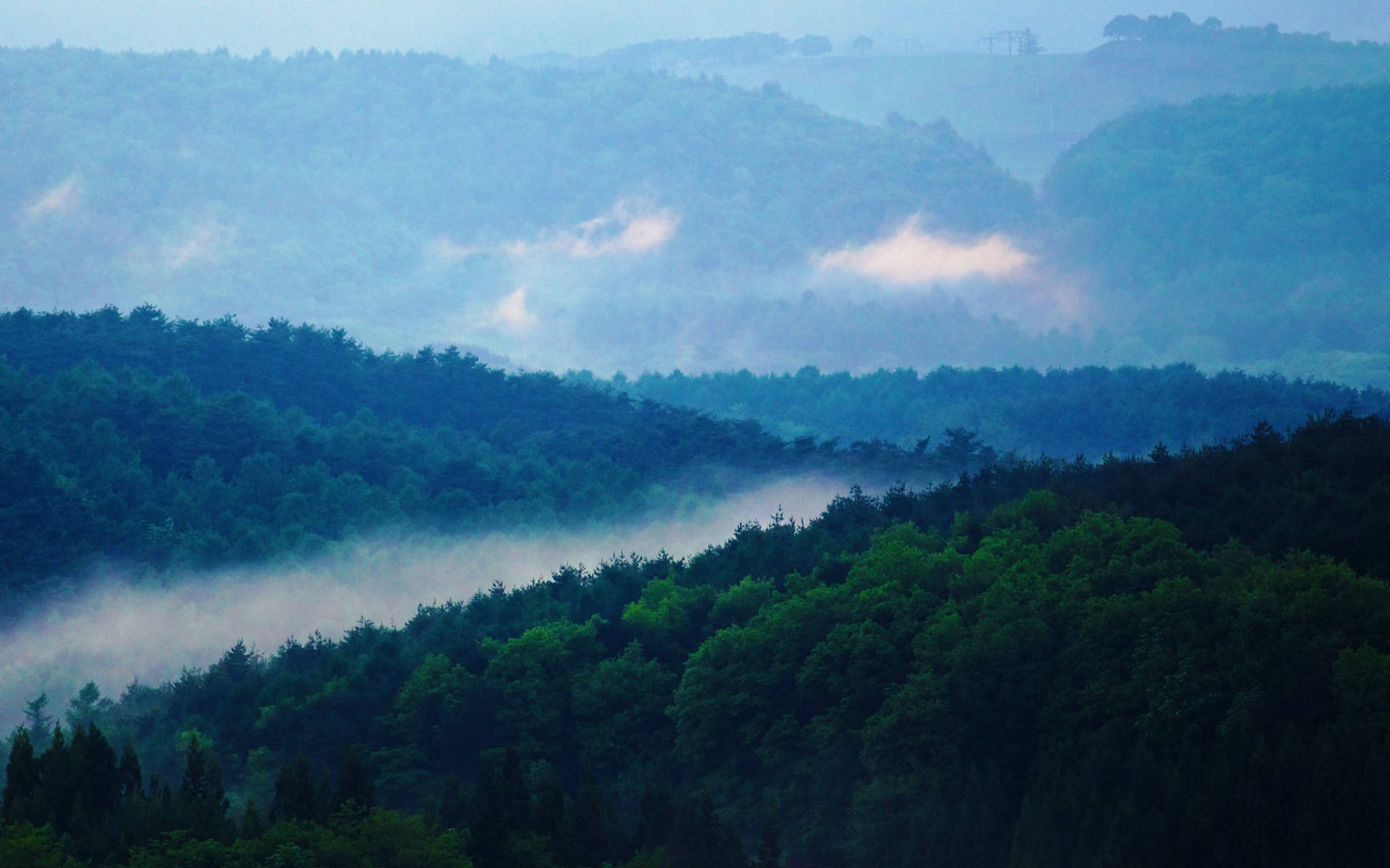 Foggy Forest On Mountain View Background