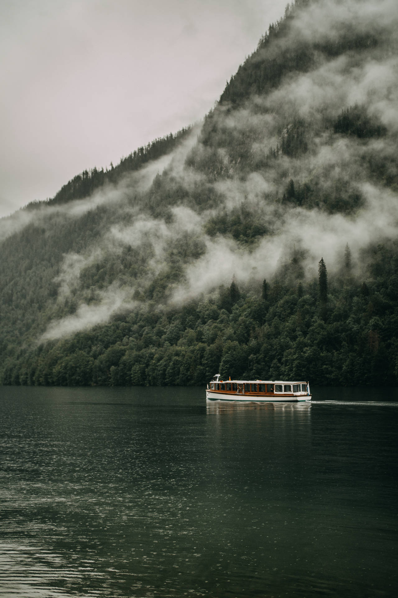 Foggy Forest River And Boat Background