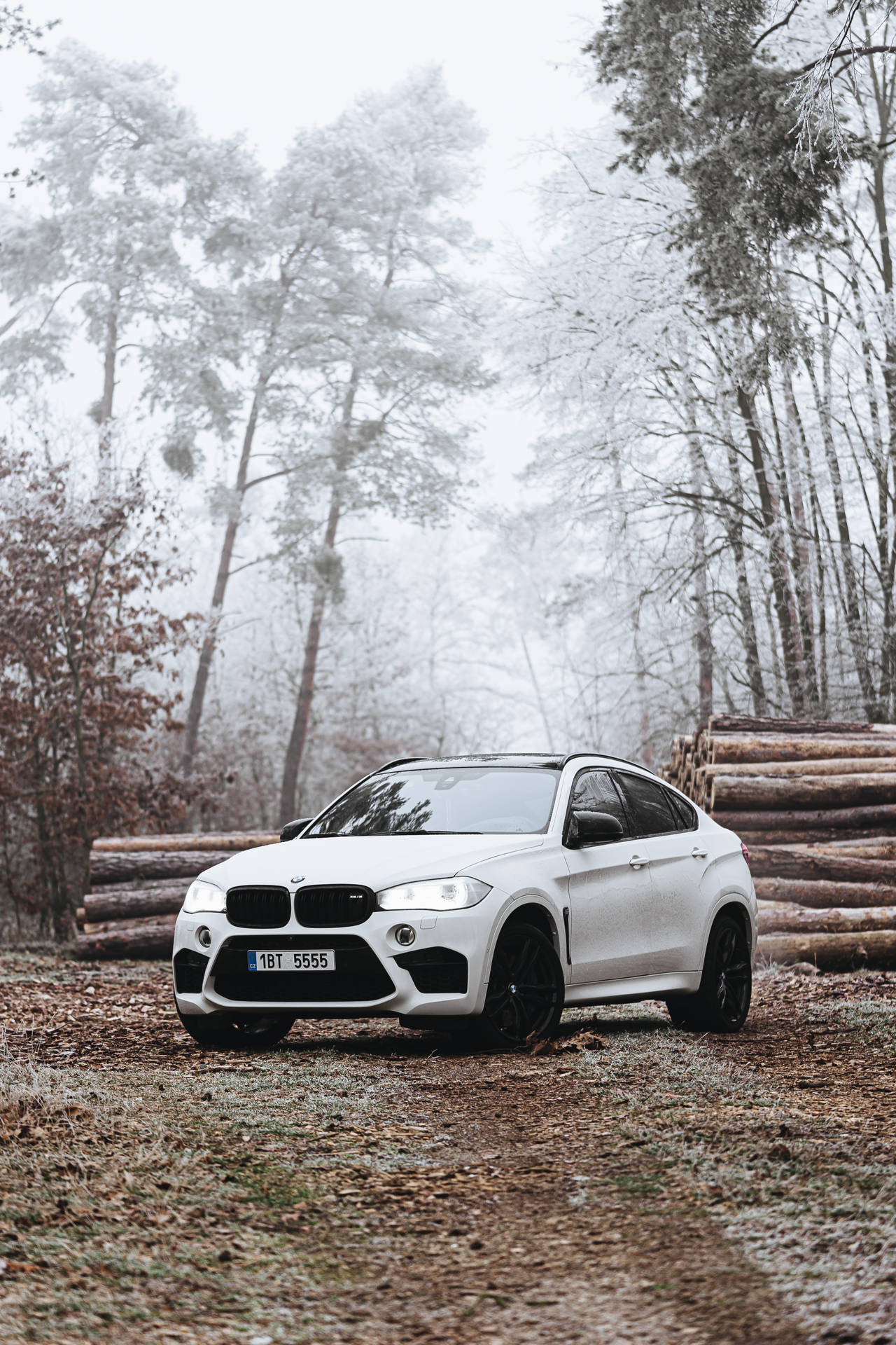 Foggy Forest White Car Portrait