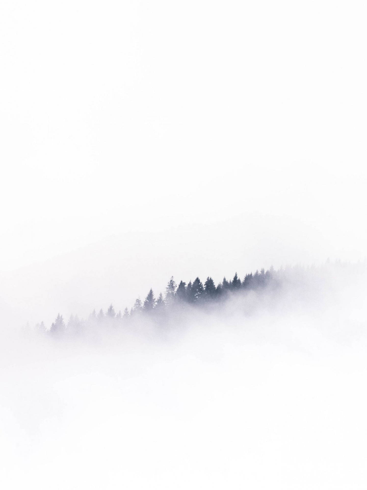 Foggy Forest White Minimalist Background