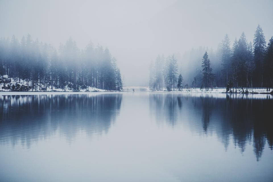 Foggy Forest Winter Lake Background