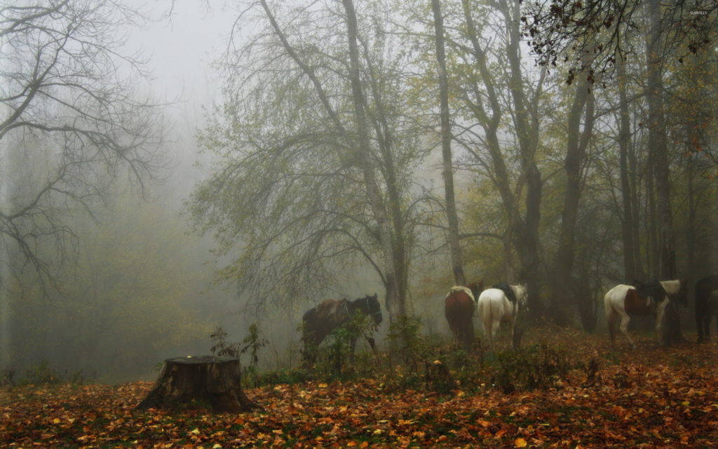 Foggy Forest With Horses