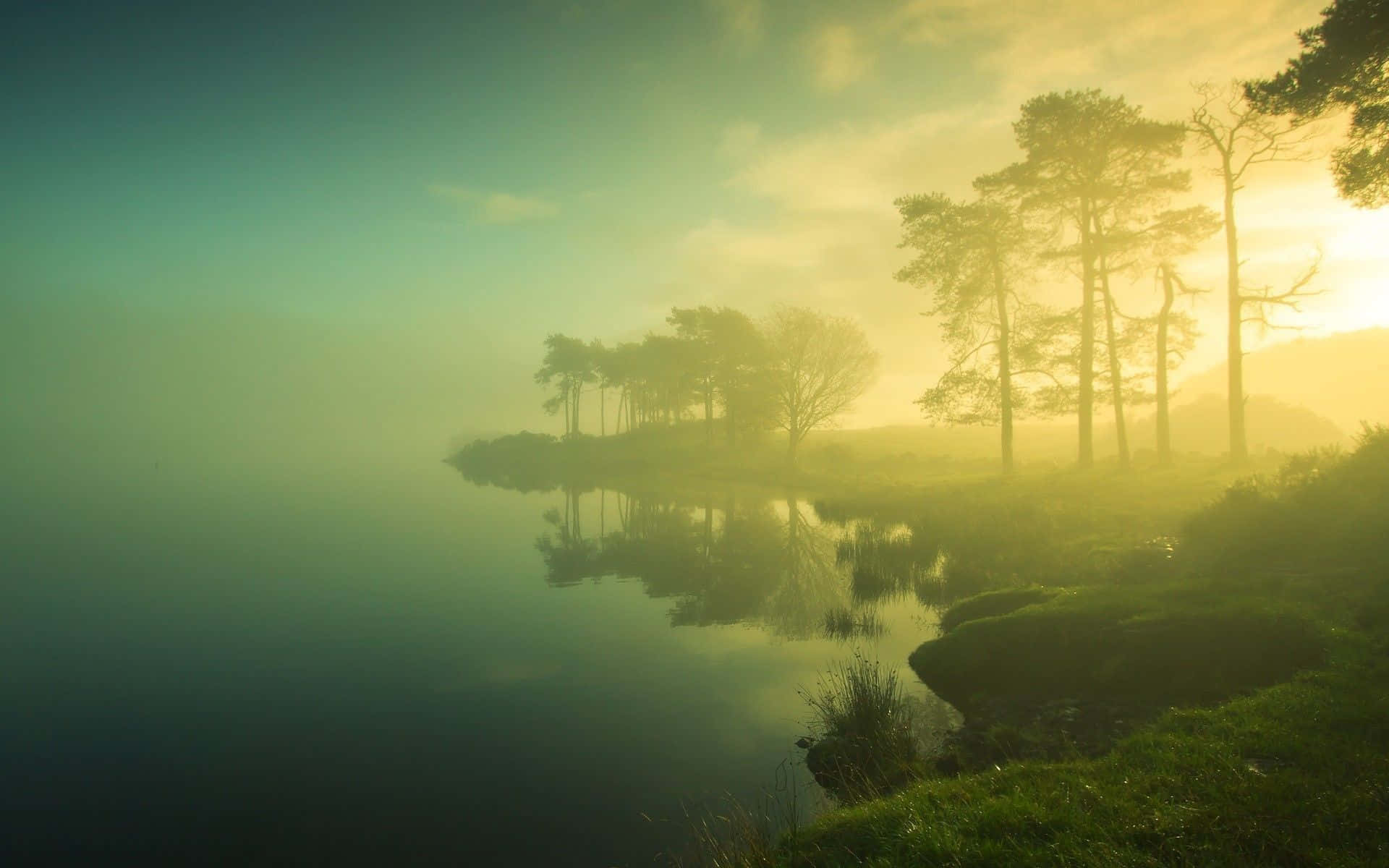 Foggy Green Natural Background Background