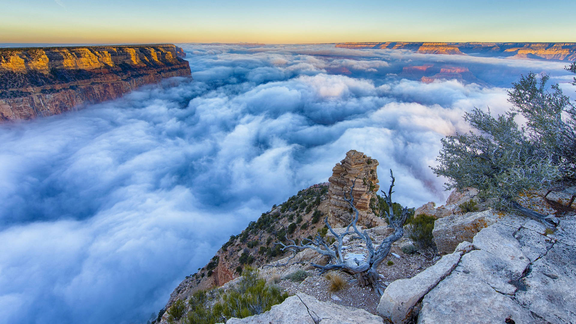 Foggy Morning In Grand Canyon Background