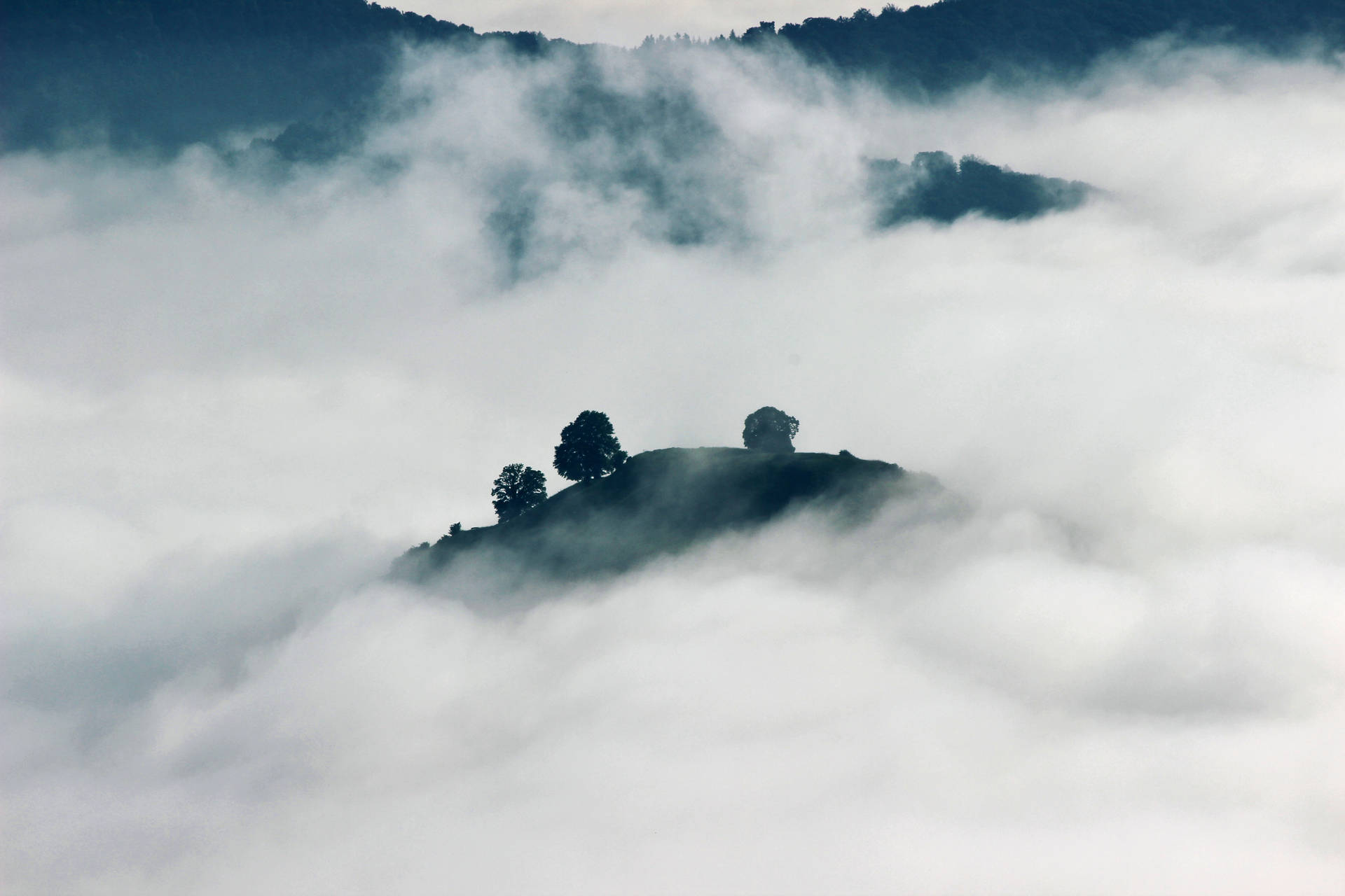Foggy Mountain Hillside