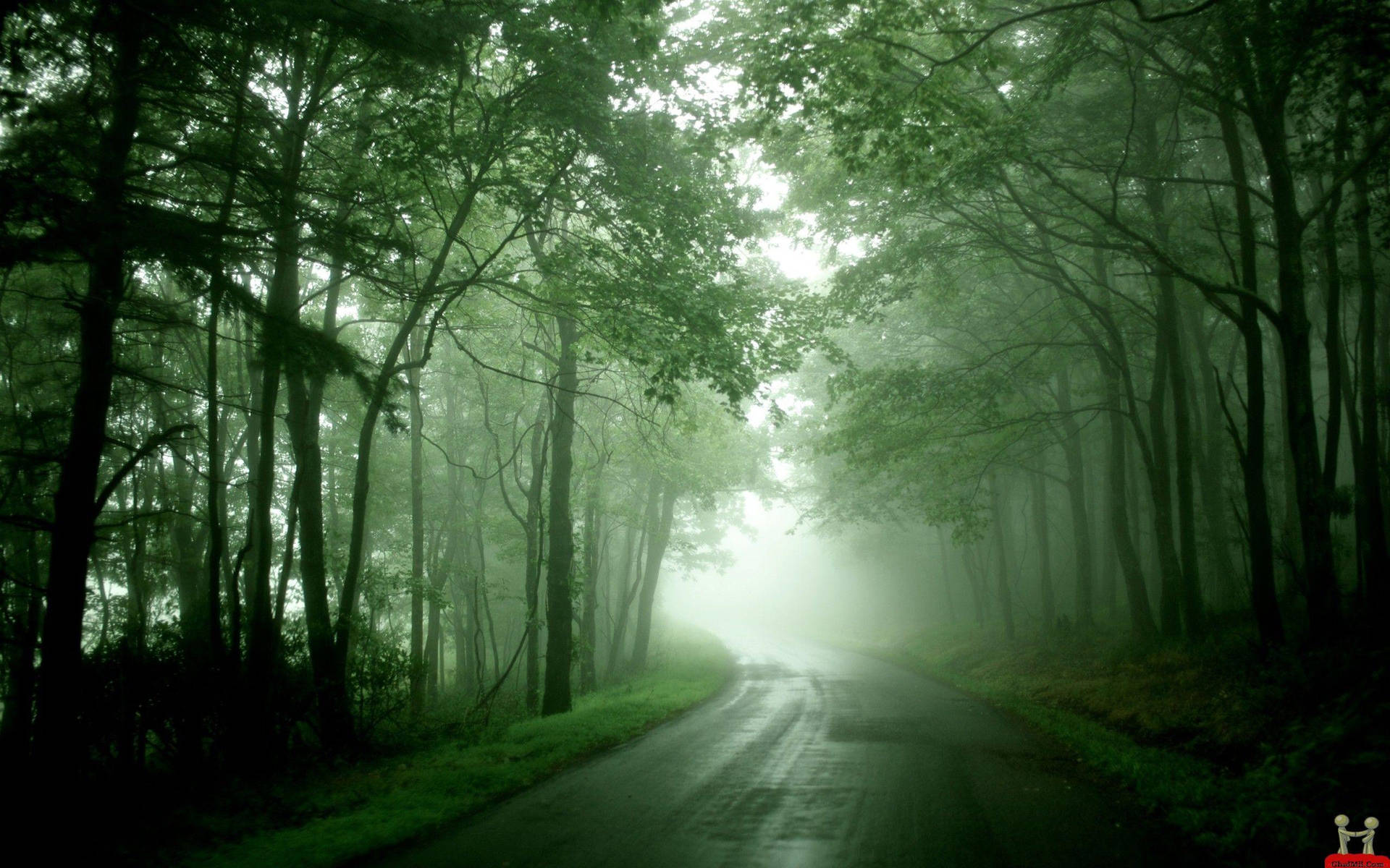 Foggy Road In The Greenery Background