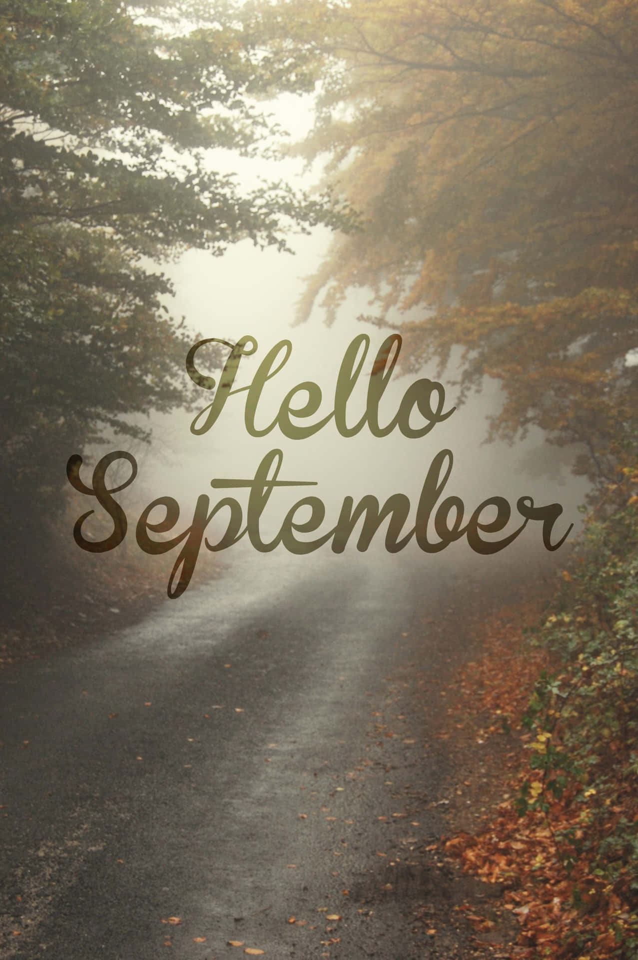 Foggy Road With Hello September Greeting Background