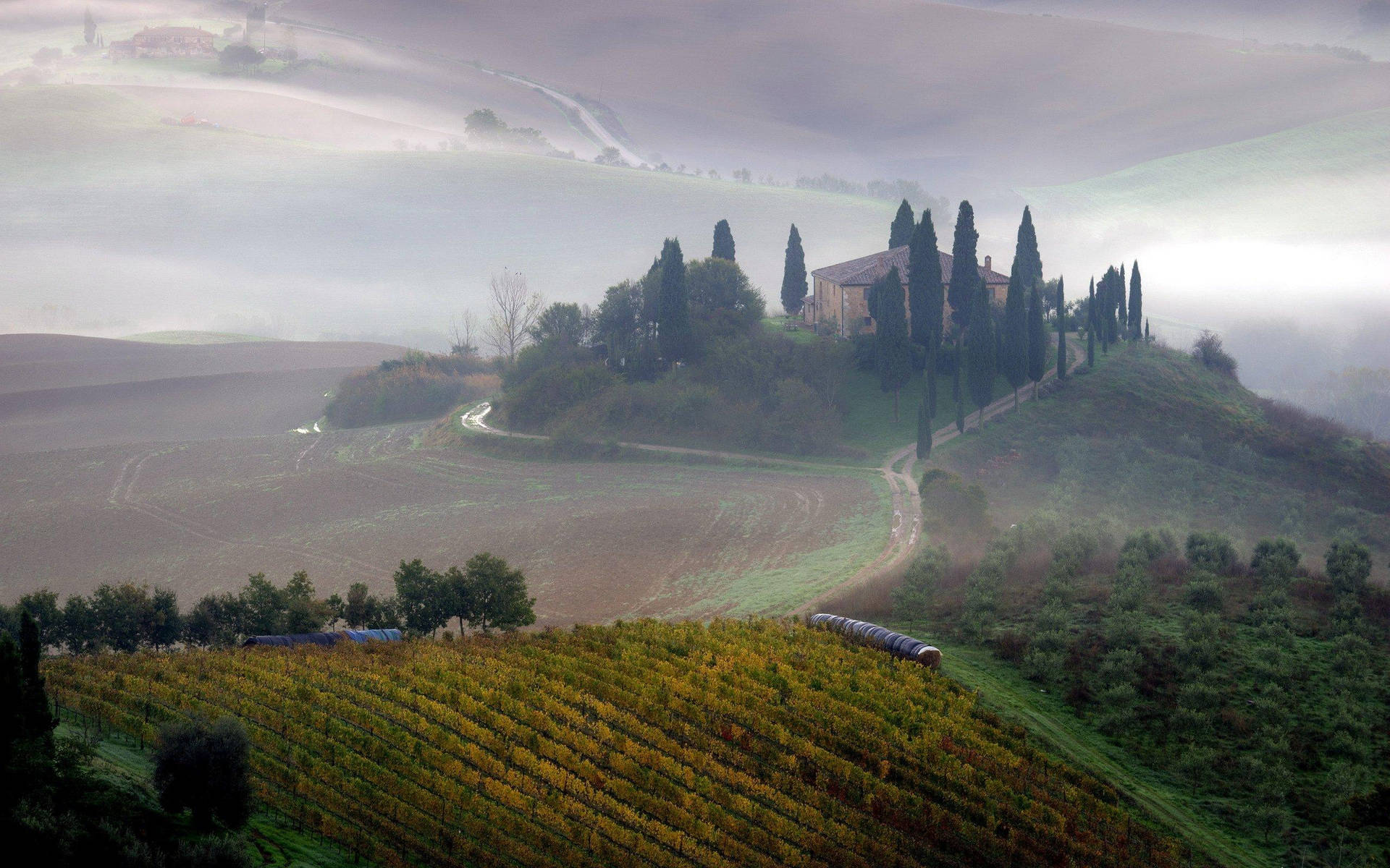 Foggy Rolling Hills In Tuscany Background