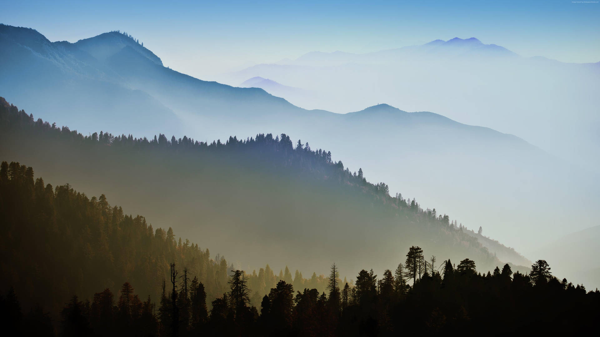 Foggy Smoky Mountains And Trees Background