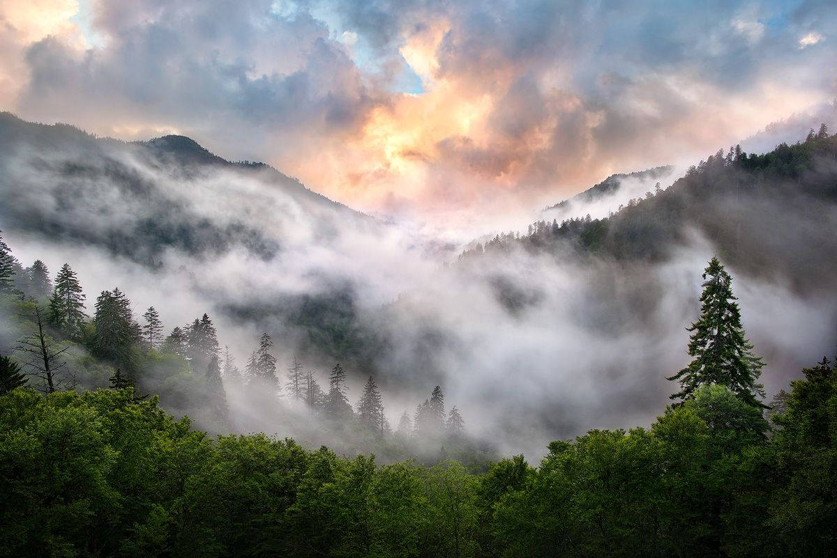 Foggy Smoky Mountains Background