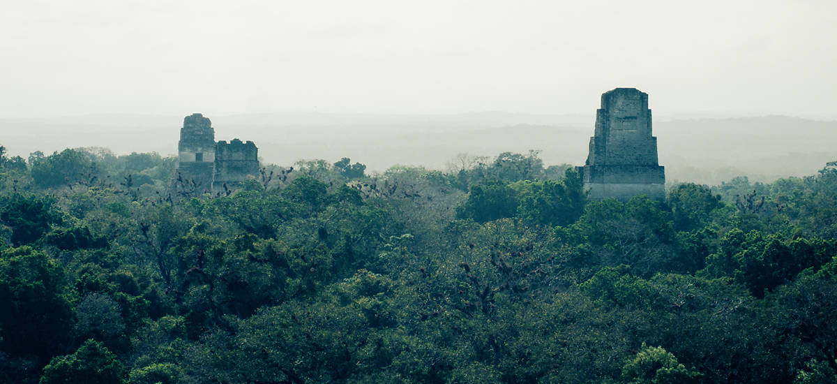 Foggy Tikal Background