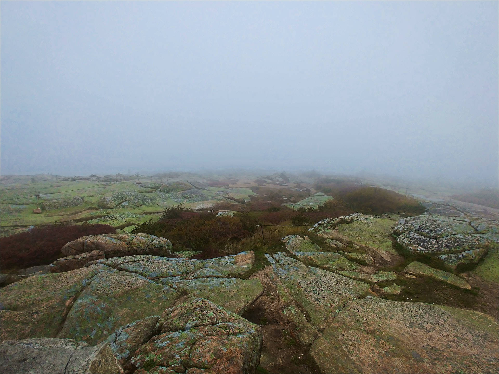 Foggy View Of Acadia National Park