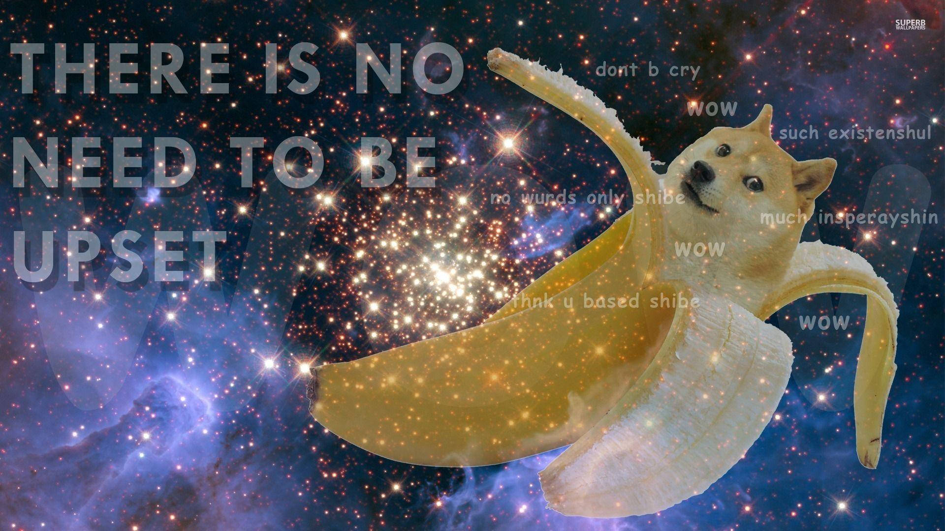 Follow Your Dreams Like A Doge In A Galaxy Of Bananas Background