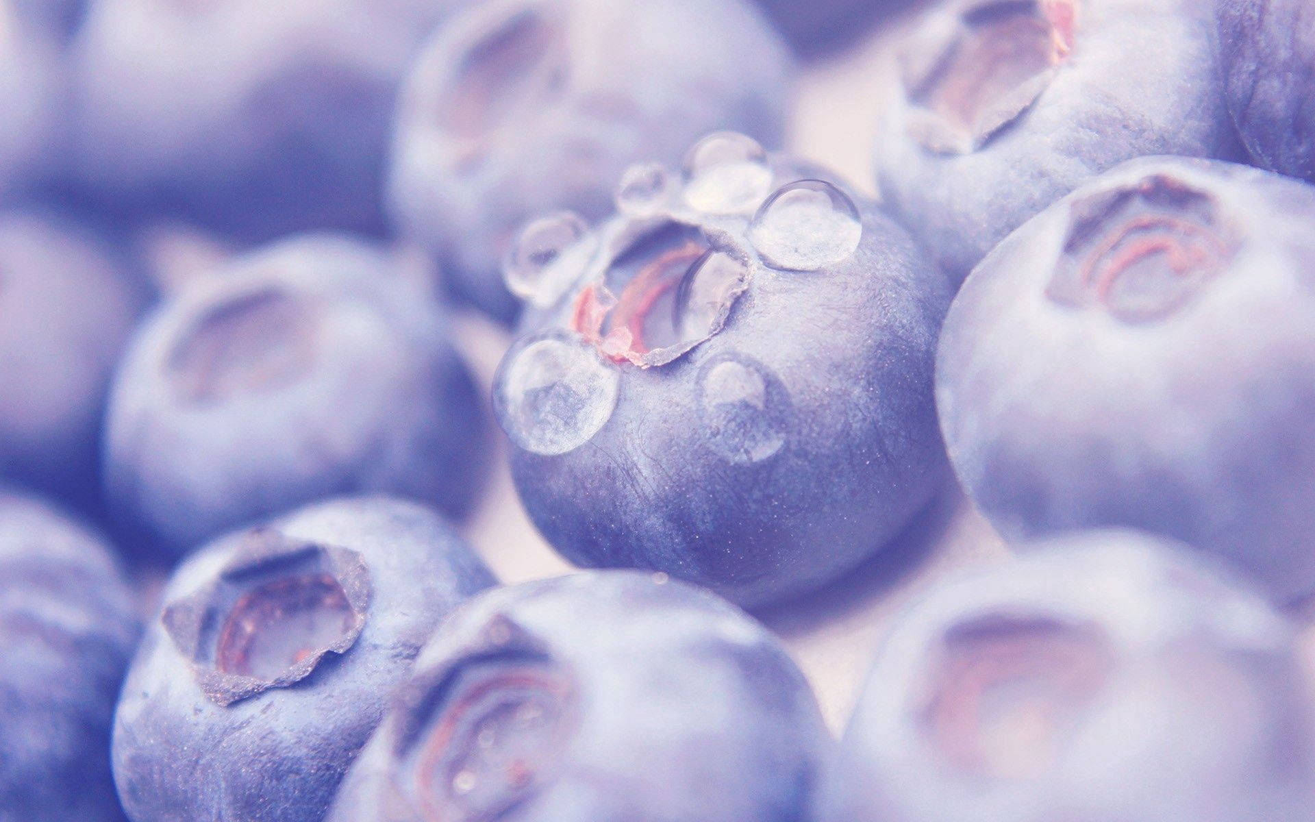 Food Close-up Blueberries Background