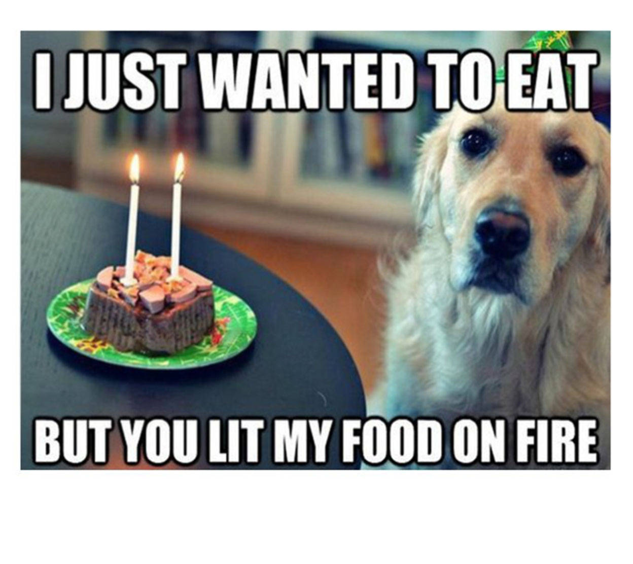Food On Fire Dog Funny Meme Background