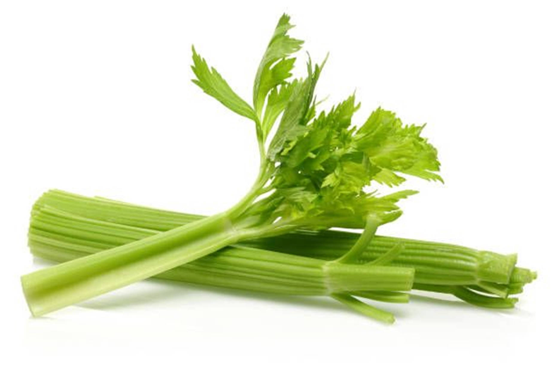 Food Photography Celery Stick Background