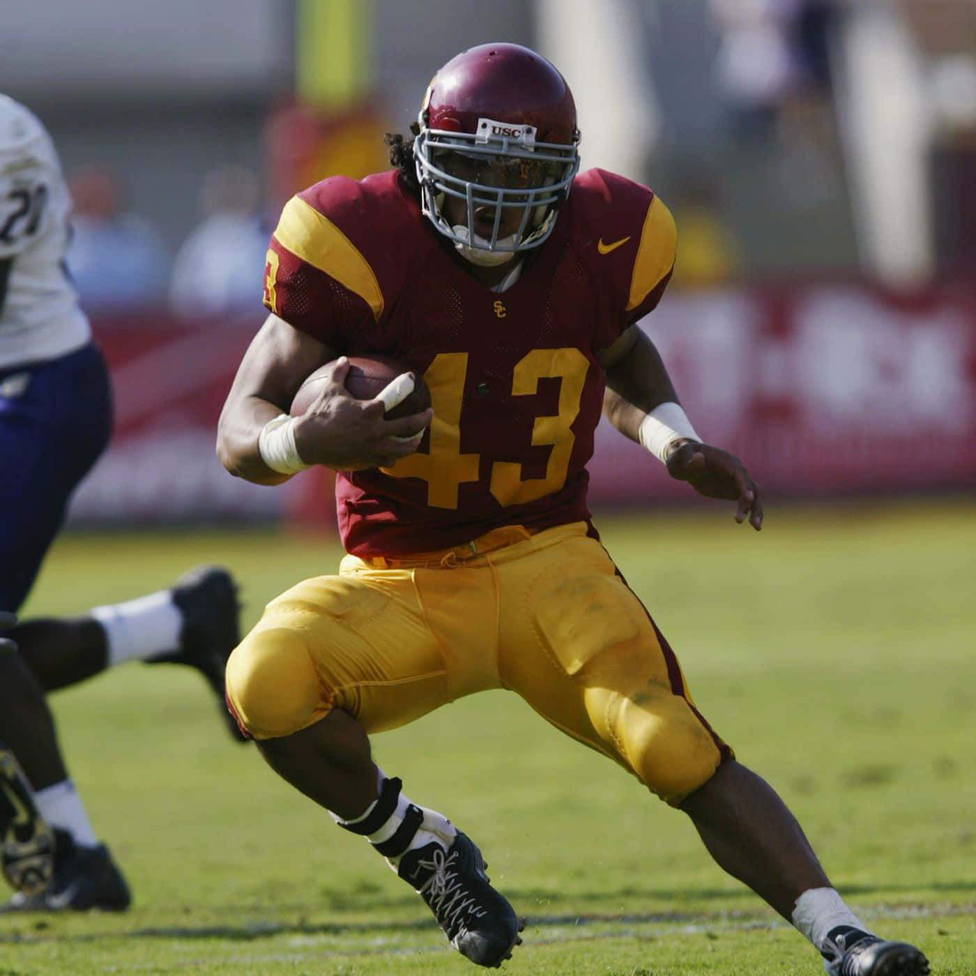 Football Star Troy Polamalu Background