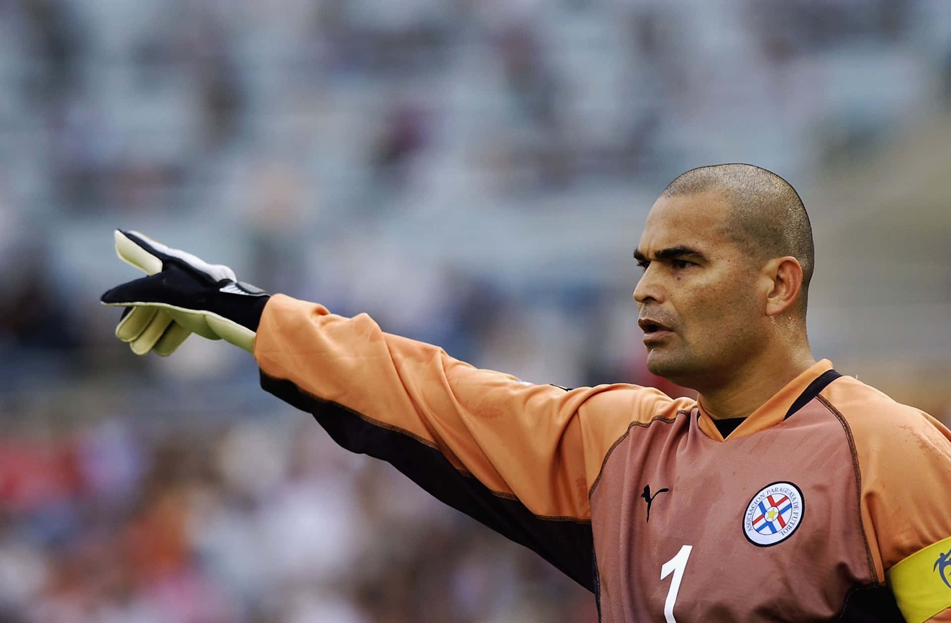 Footballer Jose Luis Chilavert In World Cup Second Round Match Background