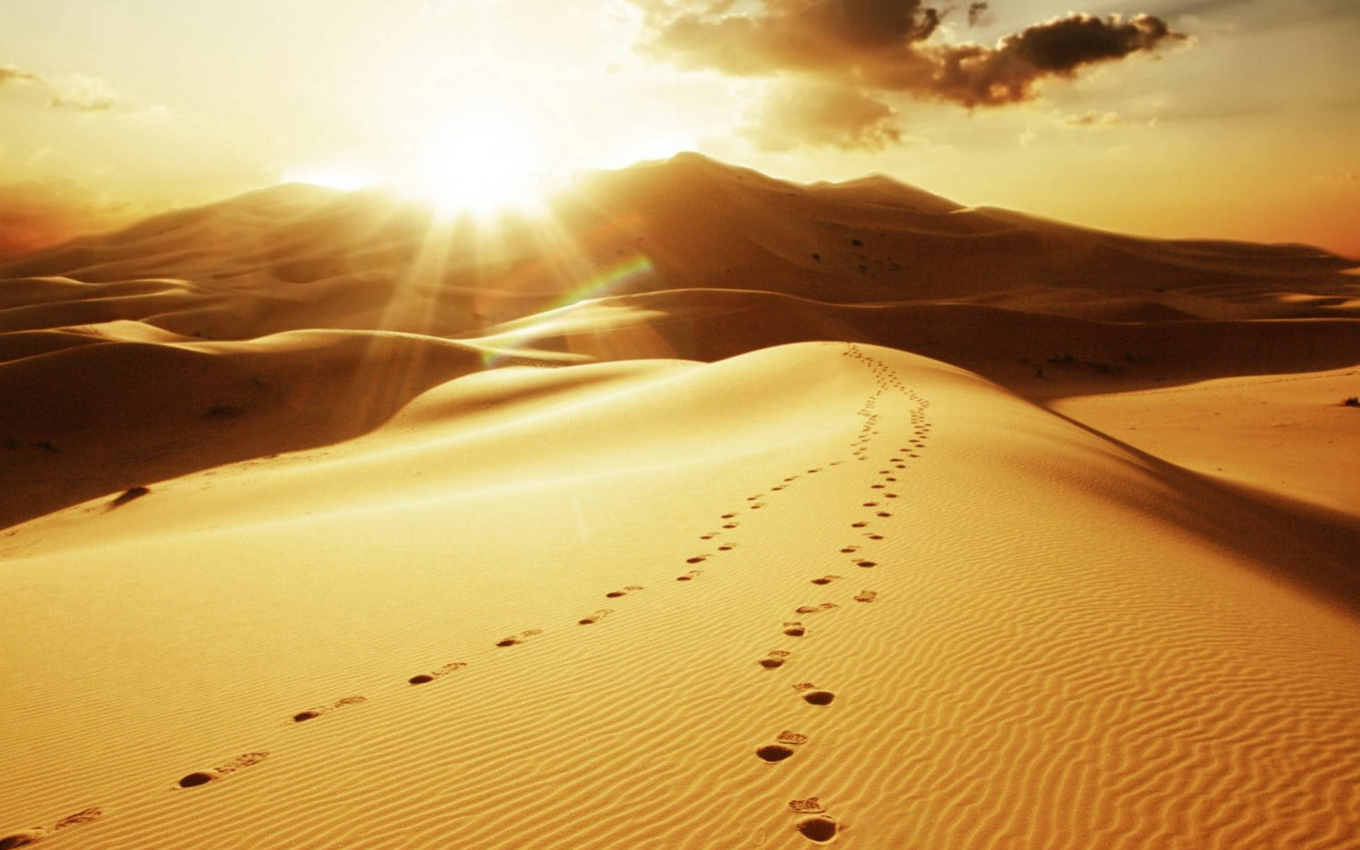 Footprint Desert Sun