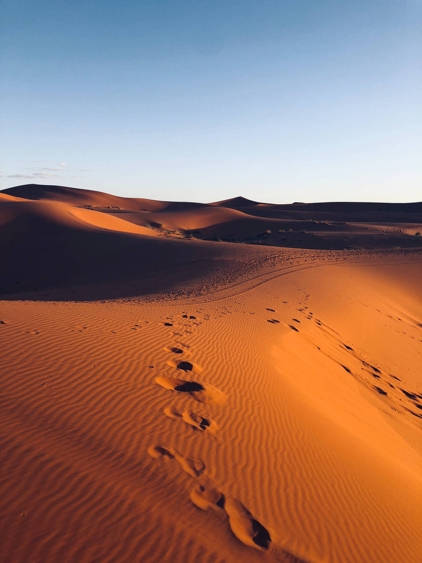 Footprints In The Desert Background