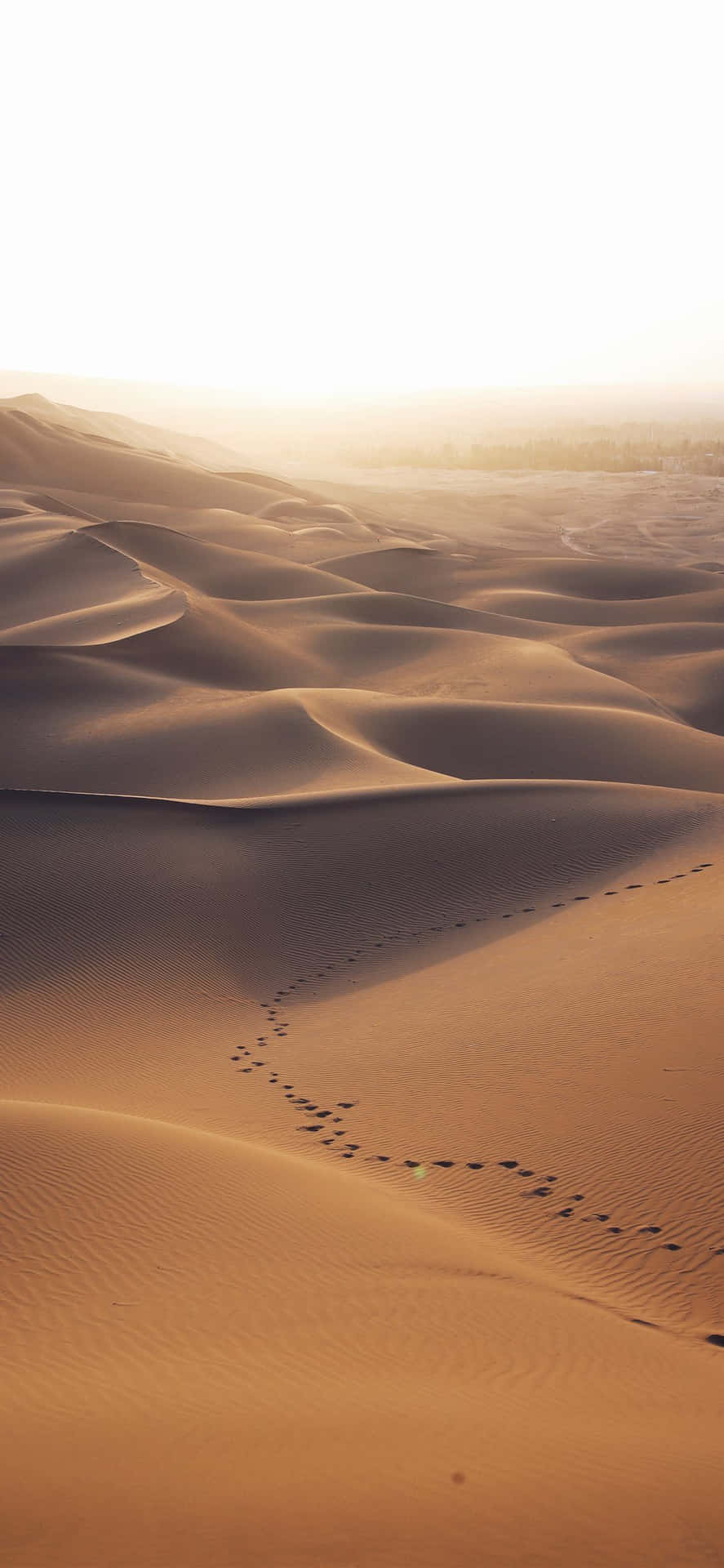 Footprints On The Sand Of Desert Iphone Background