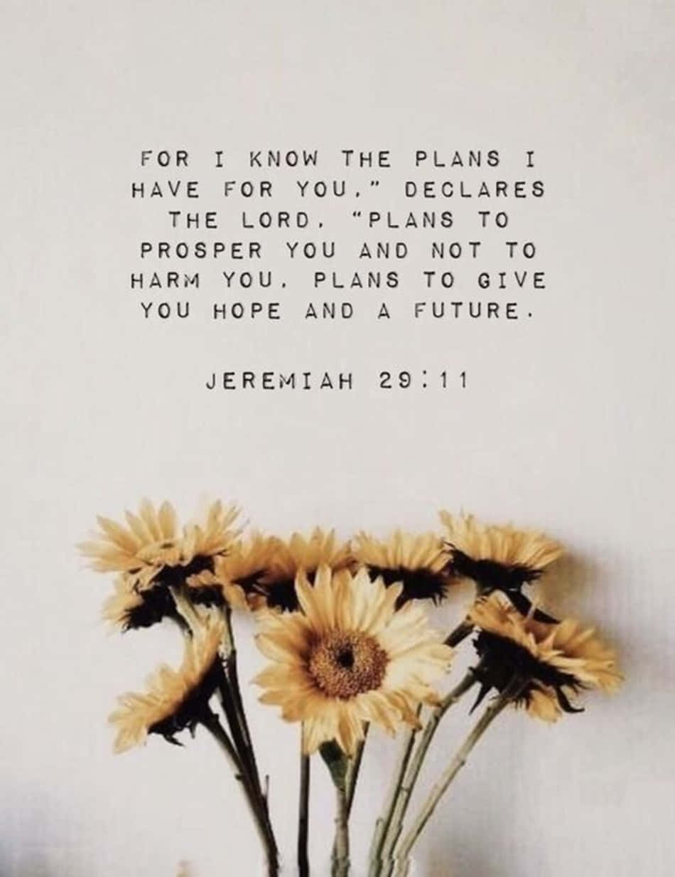 “for I Know The Plans I Have For You,” Declares The Lord.