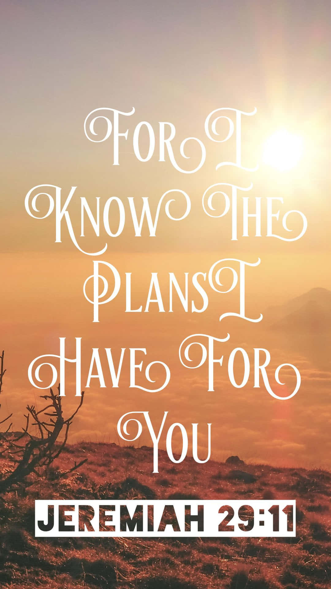 For I Know The Plants I Have For You Jeremiah 21 11 Background