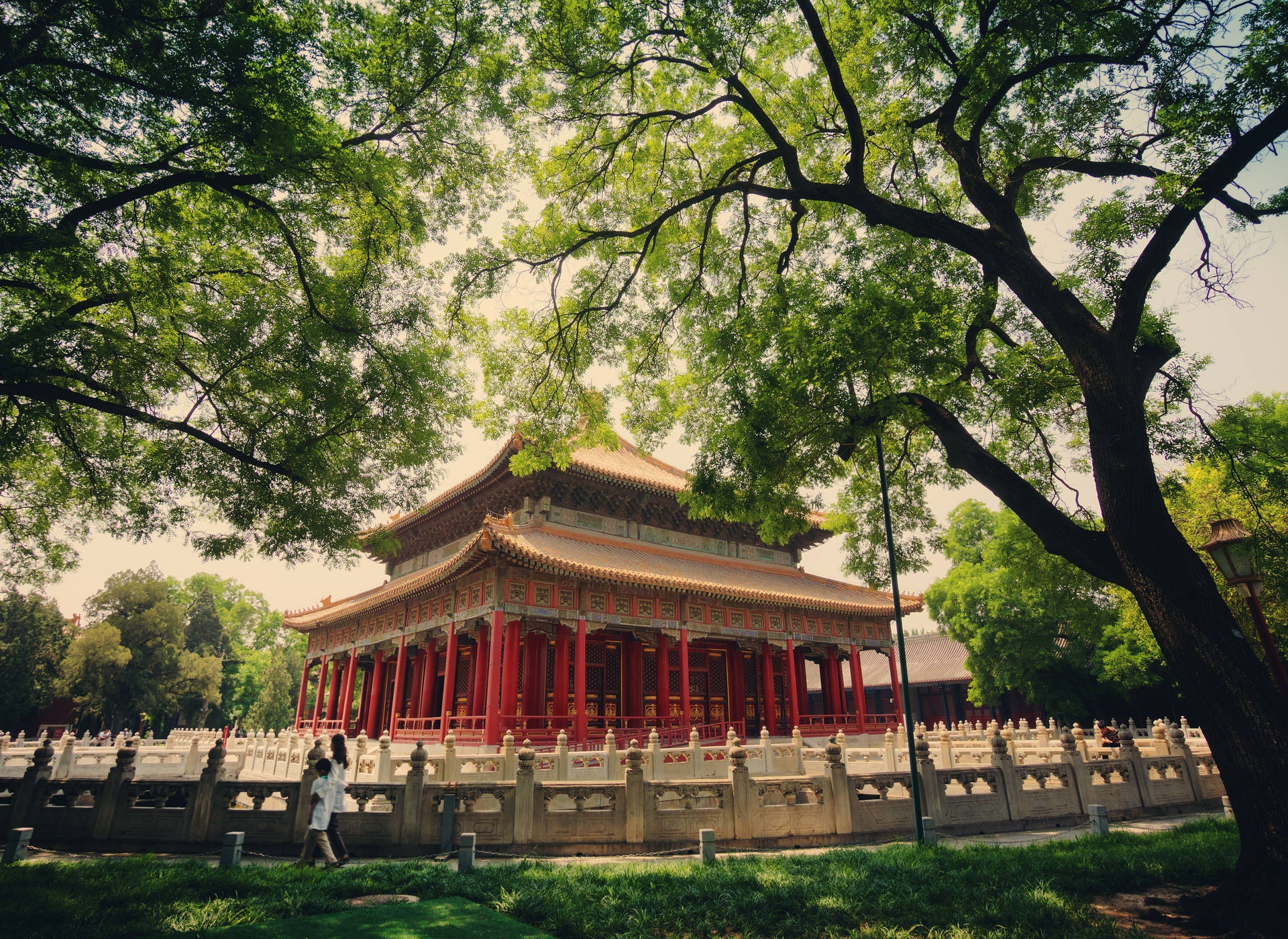 Forbidden City Palace With Trees Background