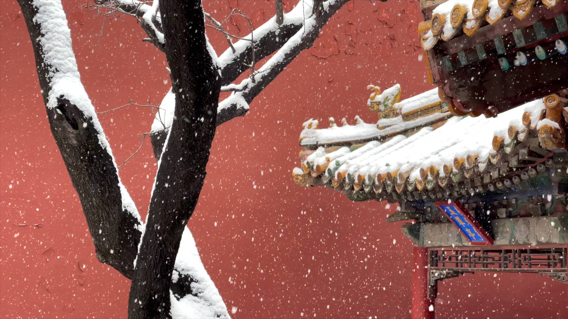 Forbidden City Roofs Covered In Snow Background