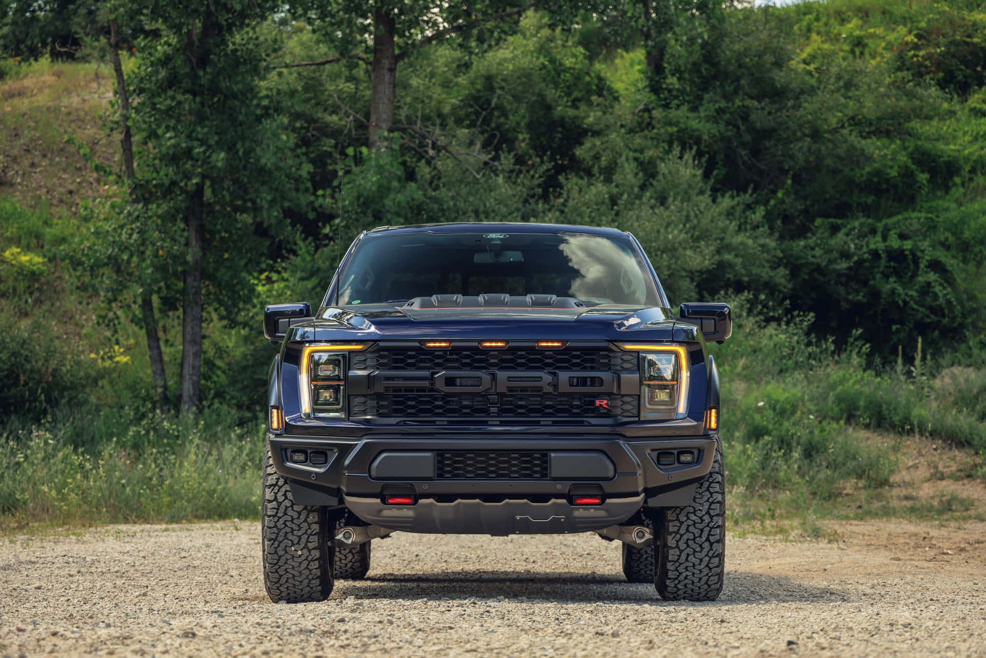 Ford F 150 Frontal View Background