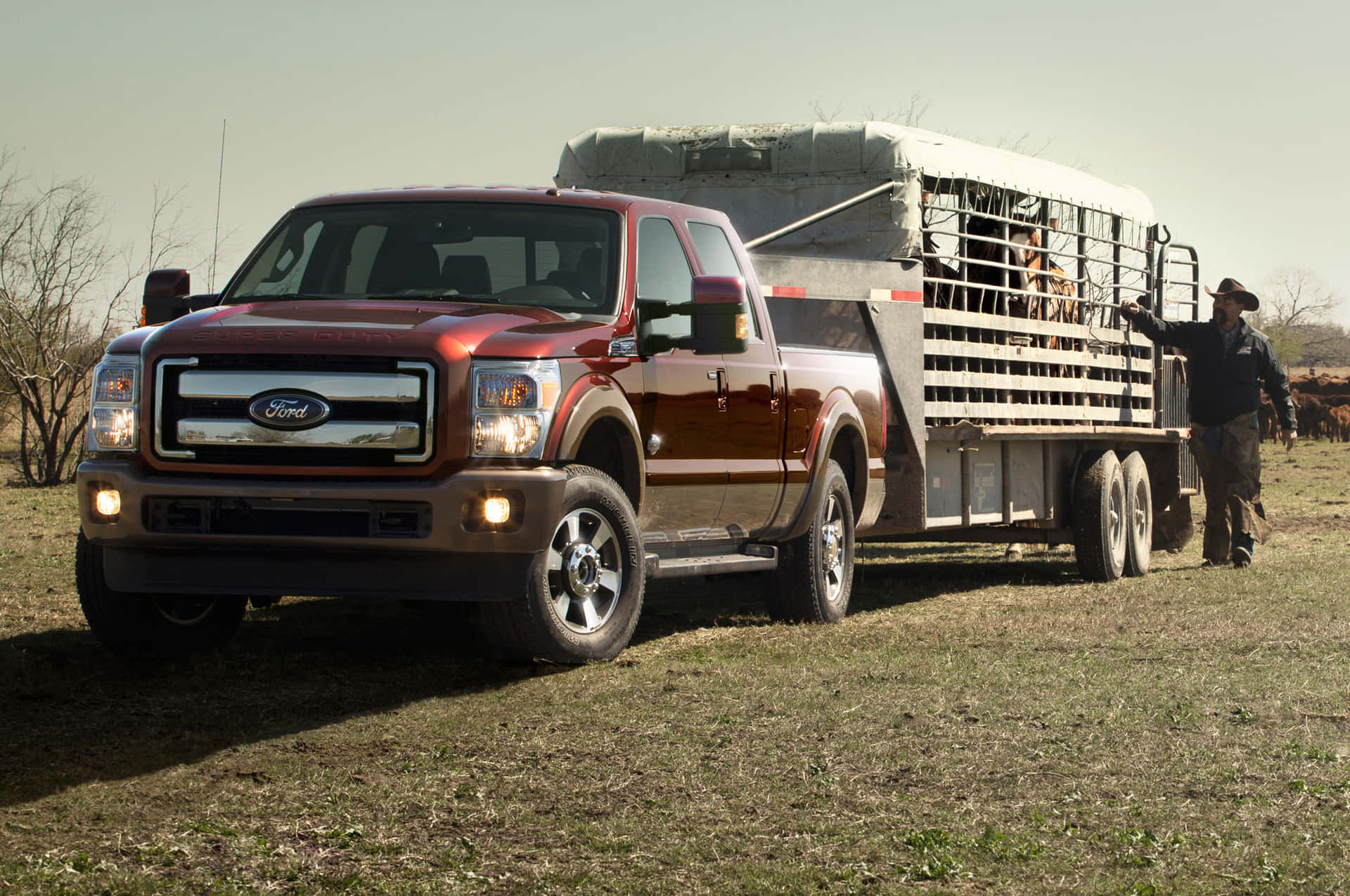 Ford F-250 Powerstroke Cattle Wagon Background