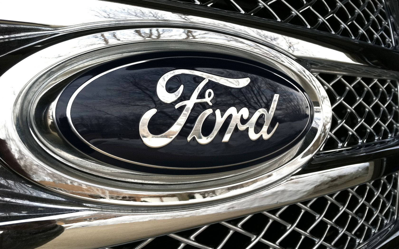 Ford Logo Bumper Background