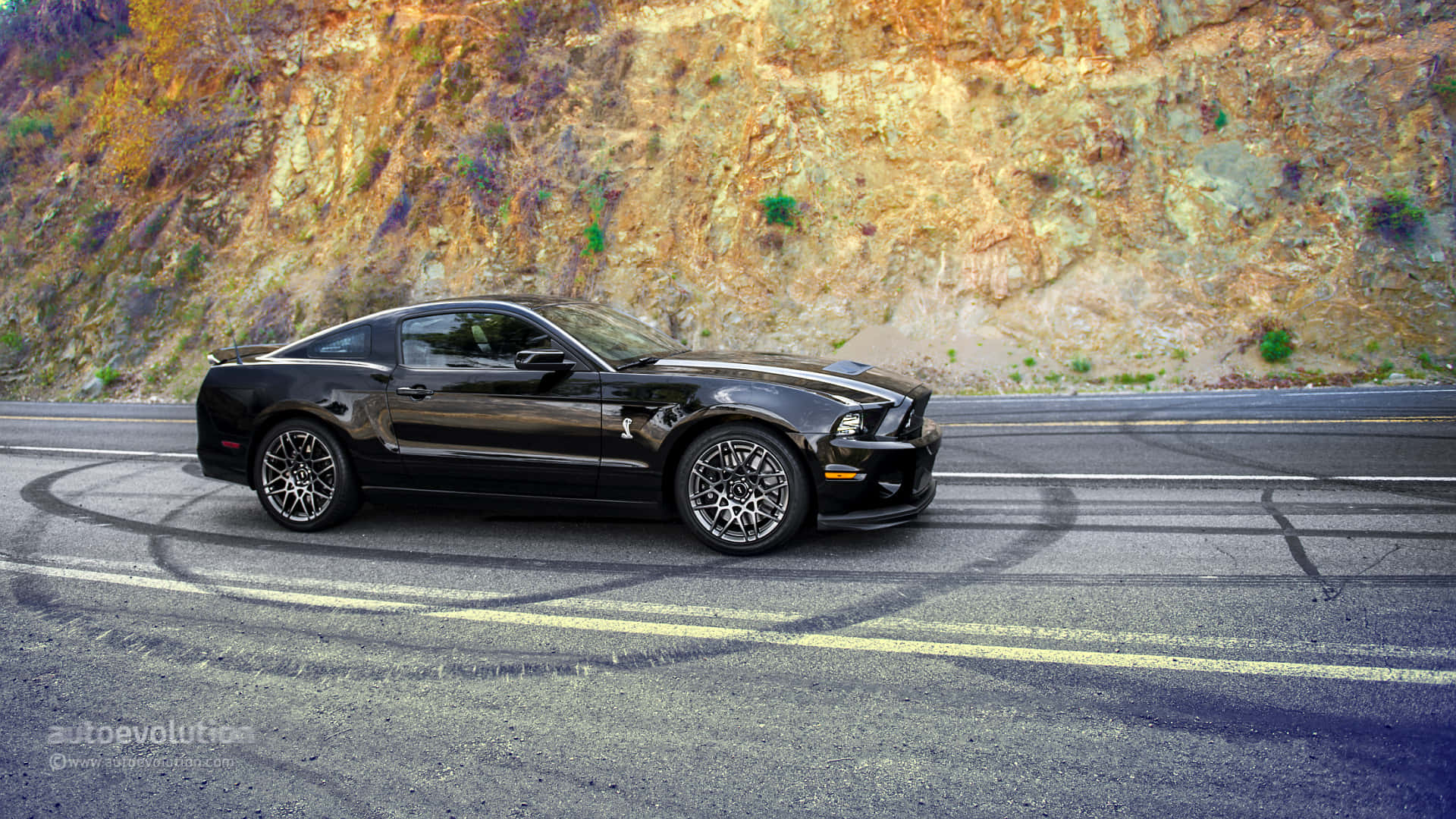 Ford Mustang 2014 Shelby Gt500 Car