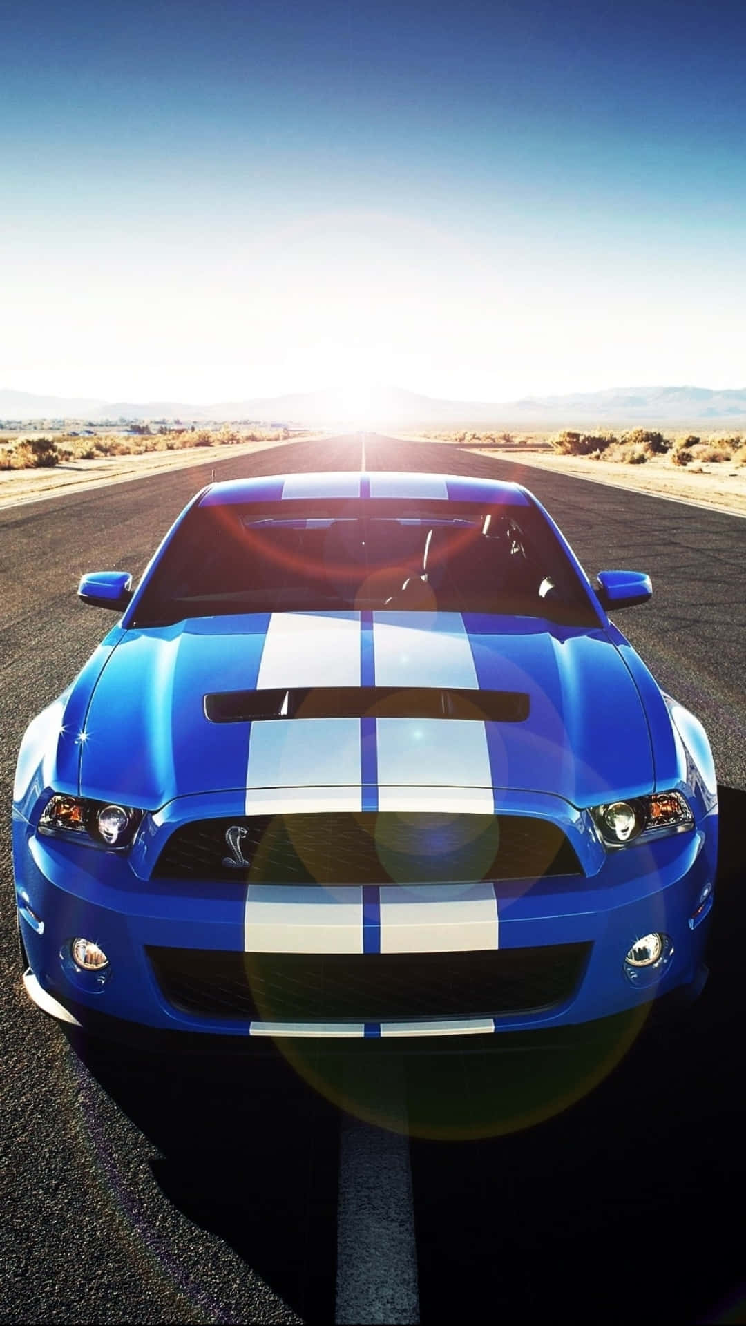 Ford Mustang 2014 Shelby Model