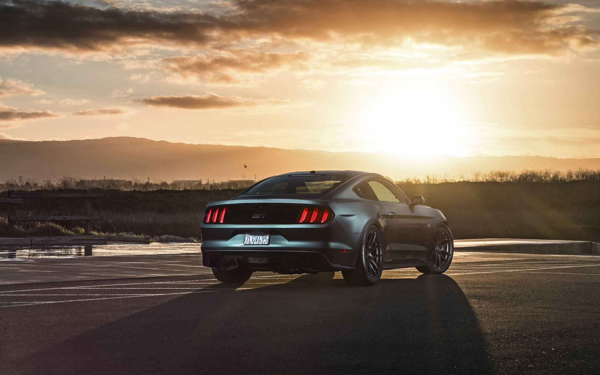 Ford Mustang In Sunset Background