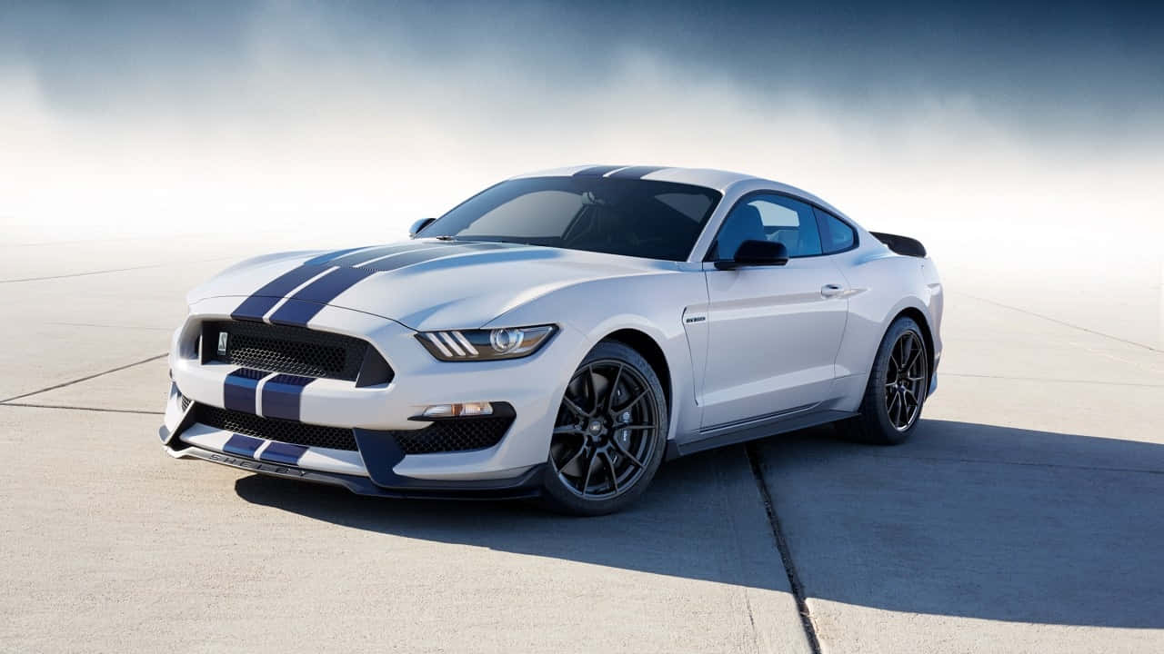 Ford Mustang Shelby G T500 Profile View Background