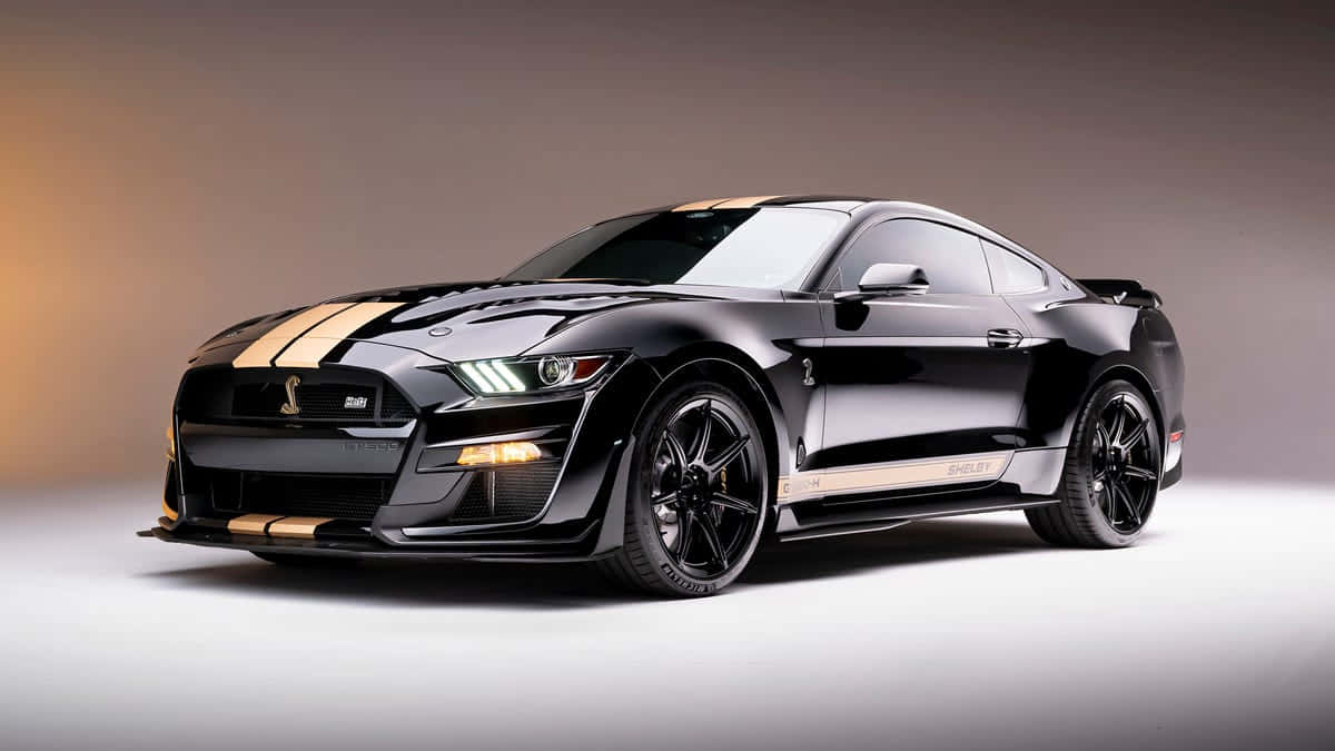 Ford Mustang Shelby G T500 Studio Shot